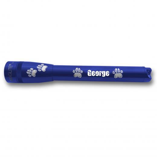 mag-lite-mini-maglite-pro-led-taschenlampe-blau-gravur-10 image 1