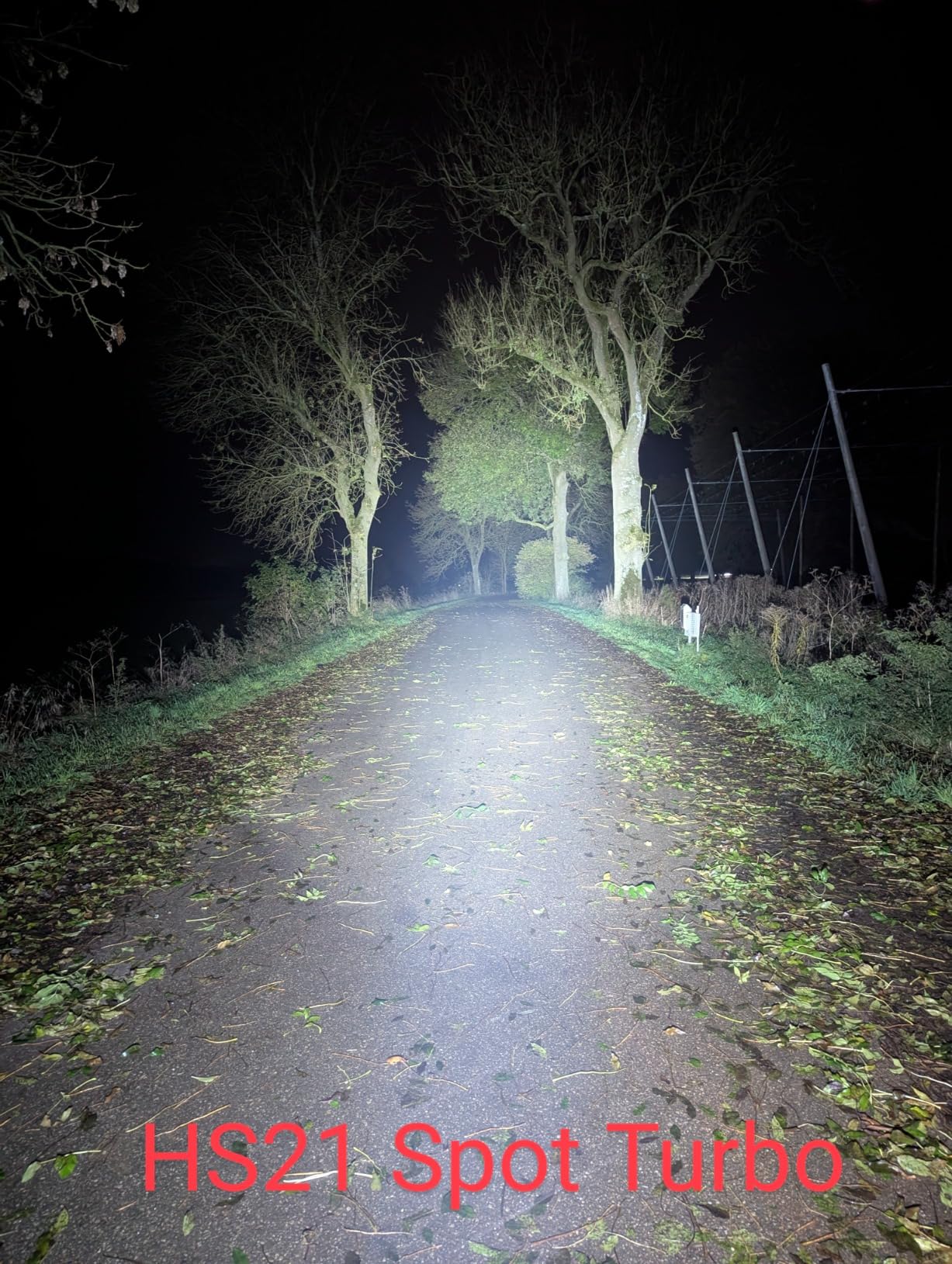 Rotlicht top
