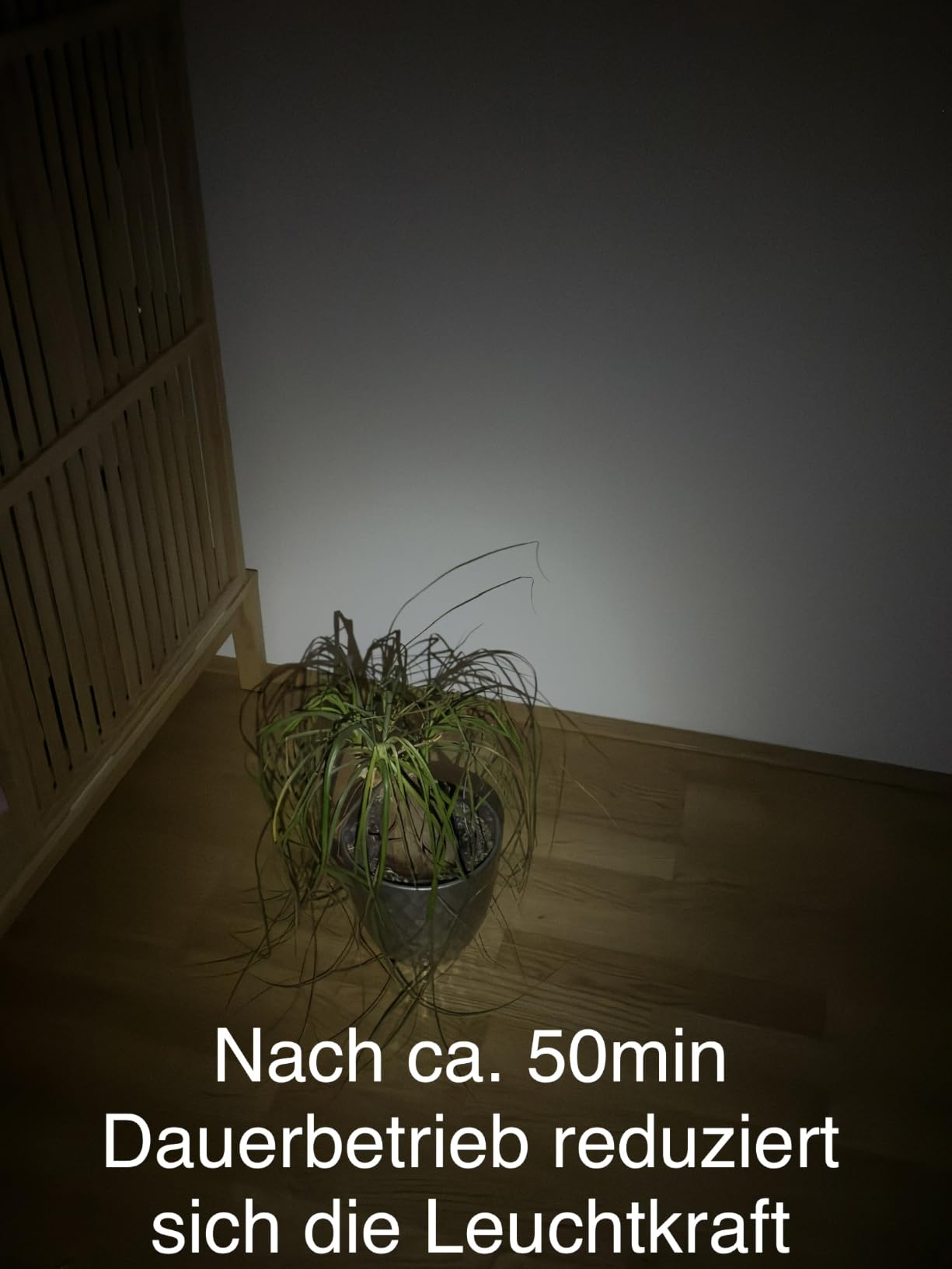 Magnet hält