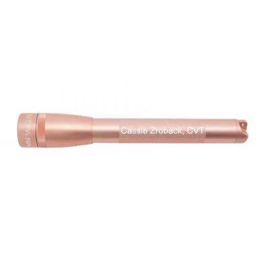 maglite-mini-maglite-pro-led-taschenlampe-ros-gold-gravur-4 image 1