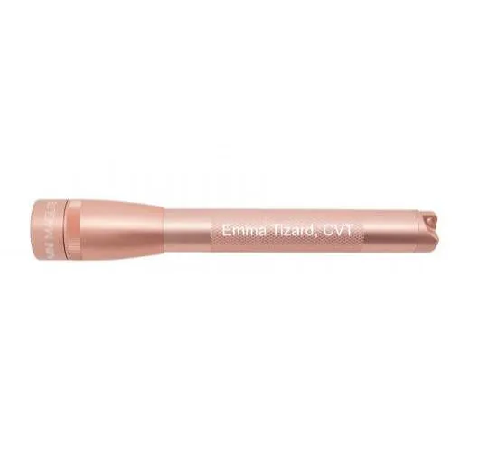 mag-lite-mini-maglite-pro-led-taschenlampe-rose-gold-gravur image 1