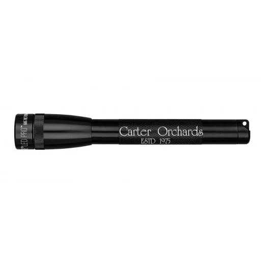 mag-lite-mini-maglite-pro-led-taschenlampe-schwarz-mit-gravur image 1