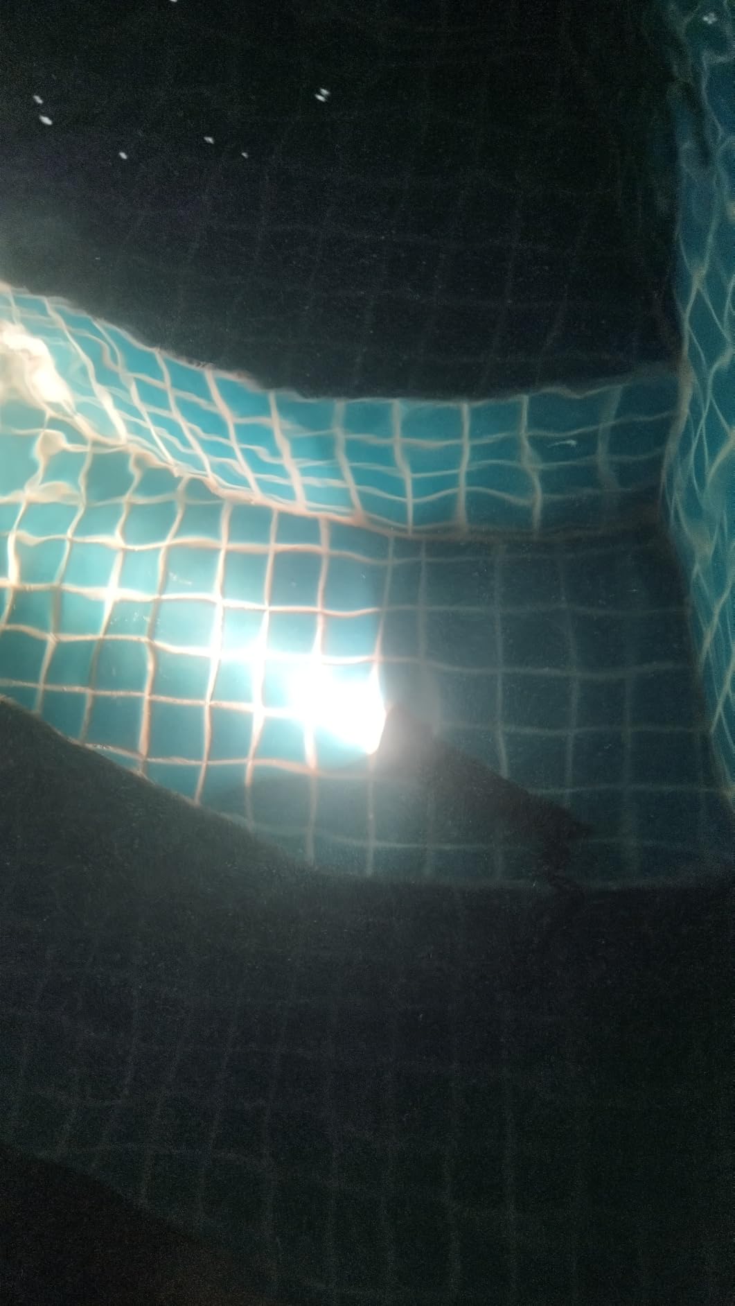 Fotos besser